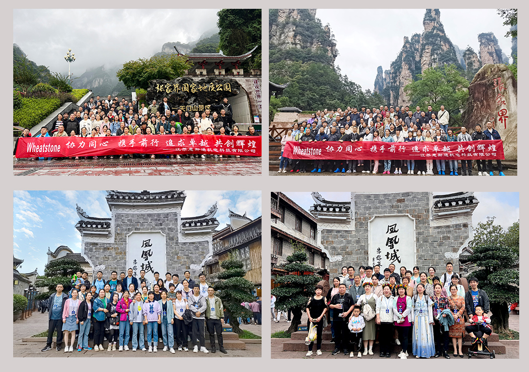 13276936.jpg 未標題-1.jpg